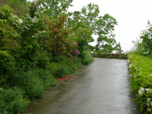 img0079.jpg