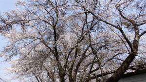 img0006.jpg