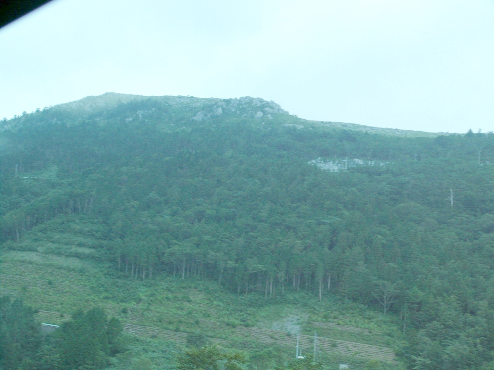img0004.jpg