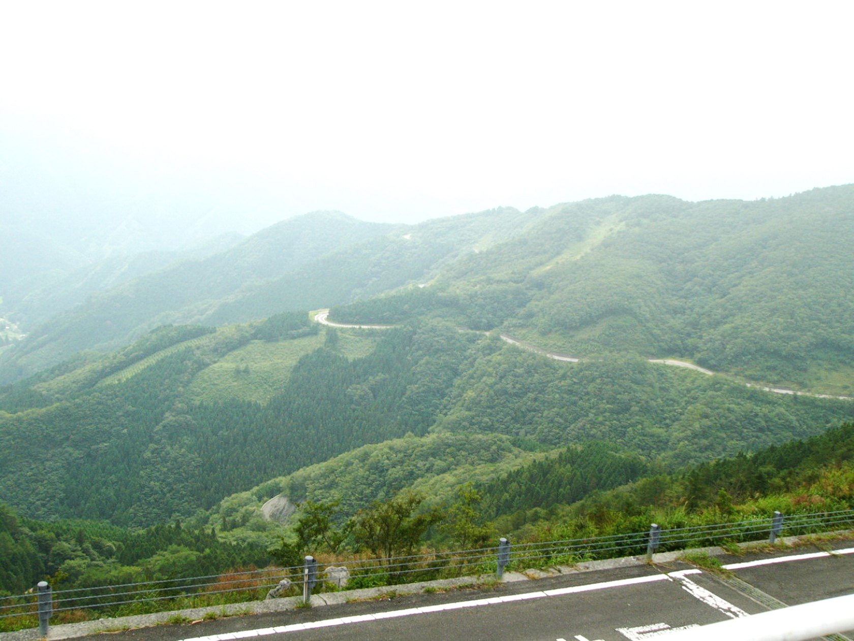 img0010.jpg