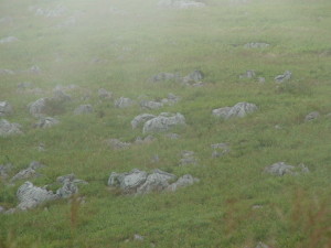 img0035.jpg