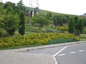 img0020.jpg